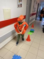 Fotografie img-1036_original.jpeg