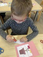 Fotografie img-1545_original.jpeg