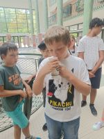 Fotografie img20250829142336_original.jpg