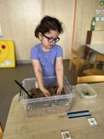 Fotografie cocka-zorka_original.jpg