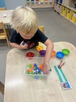 Fotografie img-6828_original.jpeg