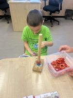 Fotografie img-6834_original.jpeg