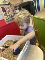 Fotografie img-6947_original.jpeg