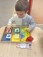 Fotografie img-6990_original.jpeg