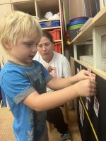 Fotografie img-7210_original.jpeg