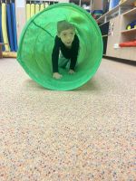 Fotografie img-7232_original.jpeg