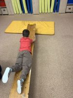 Fotografie img-7245_original.jpeg