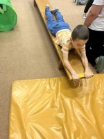 Fotografie img-7254_original.jpeg