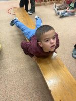 Fotografie img-7258_original.jpeg