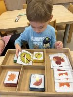 Fotografie img-7333_original.jpeg