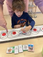 Fotografie img-7343_original.jpeg