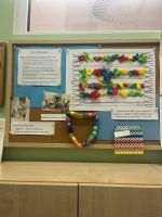 Fotografie img-7373_original.jpeg