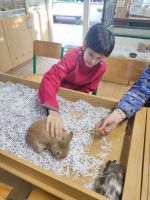 Fotografie tyden-zdravi-20255-6_original.jpg