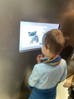 Fotografie img-5076_1_original.jpeg