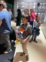 Fotografie img-5078_1_original.jpeg