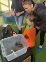 Fotografie img-7965_original.jpeg