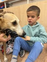 Fotografie img-7528_1_original.jpeg