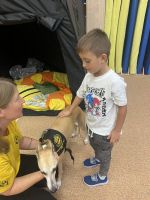 Fotografie img-7536_original.jpeg