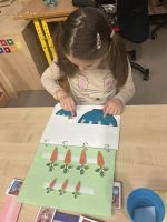 Fotografie img-7731_1_original.jpeg