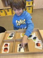 Fotografie img-7886_1_original.jpeg