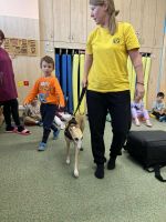 Fotografie o-canisterapie_original.jpg