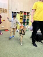 Fotografie r-canisterapie_original.jpg