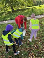 Fotografie sber-3_1_original.jpg