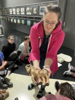 Fotografie img-5352_original.jpeg