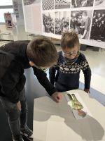 Fotografie img-5355_original.jpeg