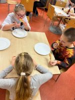 Fotografie img-20251110-wa0012_original.jpg