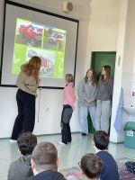 Fotografie img-5481_original.jpeg