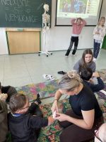 Fotografie img-5491_original.jpeg