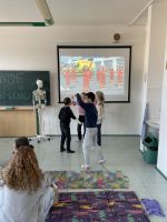 Fotografie img-5492_original.jpeg