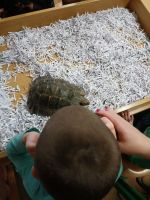 Fotografie 695a58b0-d851-4127-98b5-fdbebe2d26fe_original.jpg