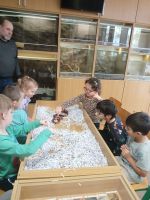 Fotografie 6fe7fe62-a246-4dfd-88ca-0dd97422306c_original.jpg