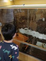 Fotografie 9156a87d-6b3f-4af0-85d8-dad62860a3c0_original.jpg