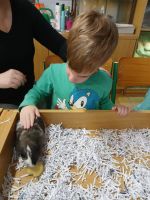 Fotografie ab38b110-dd61-4da7-81c4-8dffcd2cd8eb_original.jpg