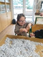 Fotografie cde8f34d-f52c-4cab-ae16-f3e16c7e814c_original.jpg