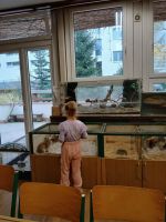 Fotografie daa266e2-886c-4472-ad7a-c0f45d98598f_original.jpg