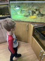 Fotografie img-8464_original.jpeg