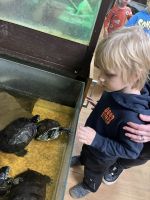 Fotografie img-8465_original.jpeg