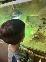 Fotografie img-8472_original.jpeg