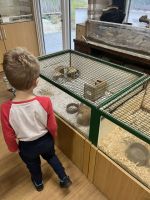 Fotografie img-8473_original.jpeg