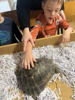 Fotografie img-8478_original.jpeg