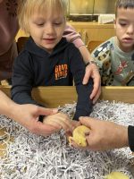 Fotografie img-8486_original.jpeg