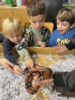 Fotografie img-8500_original.jpeg