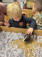 Fotografie img-8511_original.jpeg