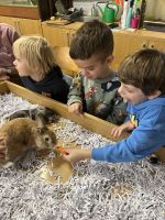 Fotografie img-8518_original.jpeg