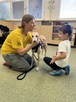 Fotografie 585461713-1340853750817035-6896749371777_original.jpg