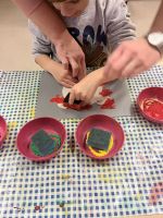 Fotografie img-8427_original.jpeg